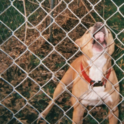 KNOCKED LOOSE - Pop Culture