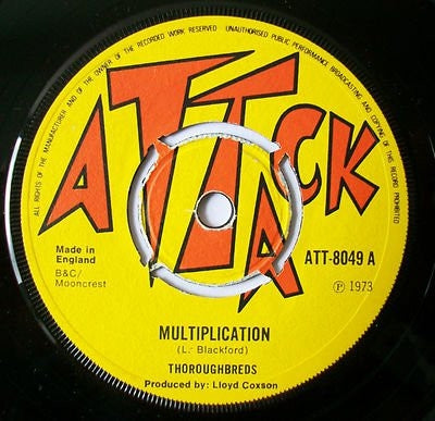 THOROUGHBREDS - Multiplication / Morning Rises