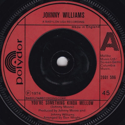 JOHNNY WILLIAMS - You're Something Kinda Mellow / You Make Me Want To Last Forever