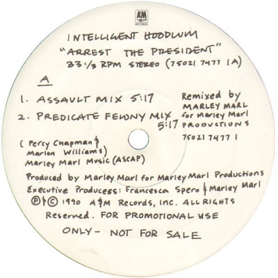 INTELLIGENT HOODLUM - Arrest The President