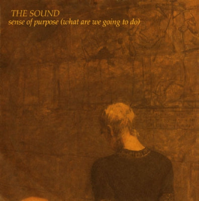 THE SOUND - Sense Of Purpose (What Are We Going To Do)