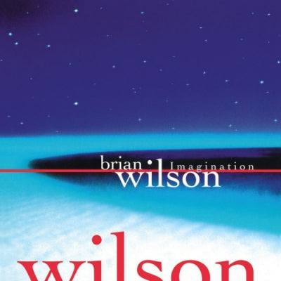 BRIAN WILSON - Imagination