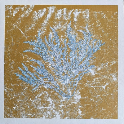 HUERCO S. - For Those Of You Who Have Never (And Also Those Who Have)