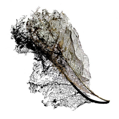 MAX COOPER - Earth EP