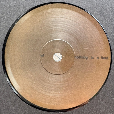 ADAM FEINGOLD - Nothing Is A Field