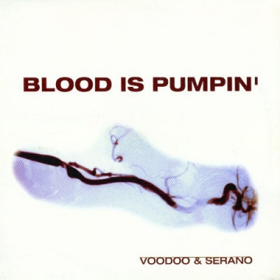 VOODOO & SERANO - Blood Is Pumpin'