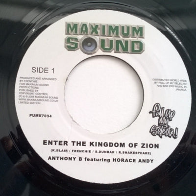 ANTHONY B FEATURING HORACE ANDY - Enter The Kingdom Of Zion