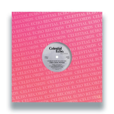 THE COOL-NOTES - I Forgot How To Love You