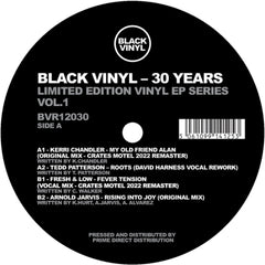 KERRI CHANDLER / TEDD PATTERSON / FRESH & LOW / ARNOLD JARVIS - Black Vinyl 30 Years