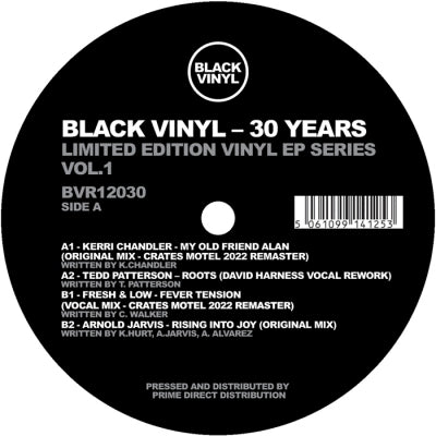KERRI CHANDLER / TEDD PATTERSON / FRESH & LOW / ARNOLD JARVIS - Black Vinyl 30 Years