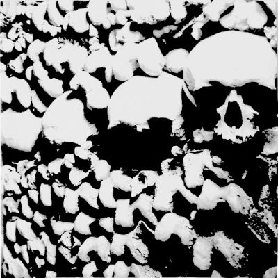 THE TELESCOPES - Night Terrors