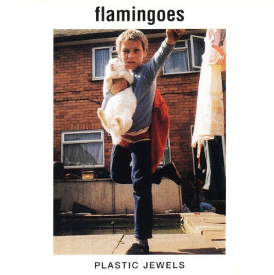 FLAMINGOES - Plastic Jewels