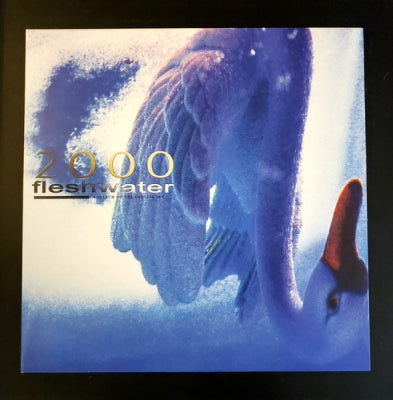 FLESHWATER - 2000: In Search Of The Endless Sky