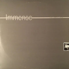 IMMENSE - Evil Ones & Zeros
