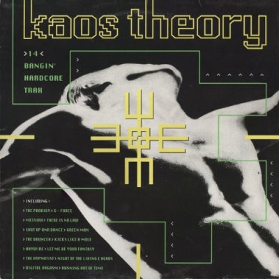 VARIOUS ARTISTS - Kaos Theory
