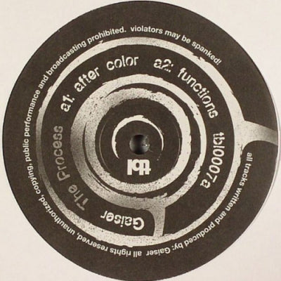 GAISER - The Process
