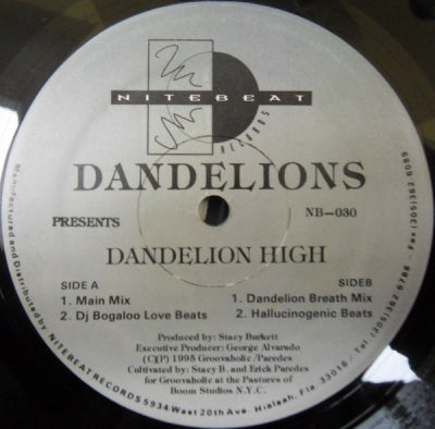 DANDELIONS - Dandelion High