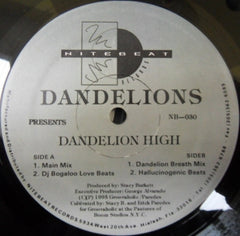 DANDELIONS - Dandelion High