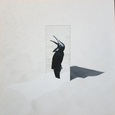 PENGUIN CAFE - The Imperfect Sea