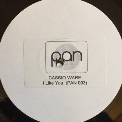 CASSIO WARE & THE FUNKY PEOPLE - I Like You