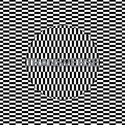 CARTER TUTTI VOID - Transverse