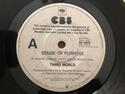 THIRD WORLD - Sense Of Purpose / How Can You