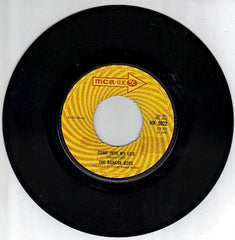 THE BANANA BOYS - Come Into My Life