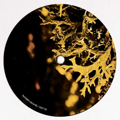 VAN BONN - Detached Trails