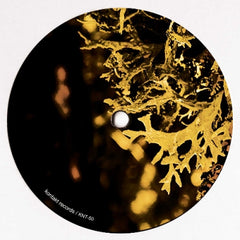 VAN BONN - Detached Trails