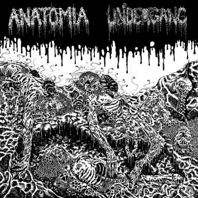ANATOMIA / UNDERGANG - Anatomia / Undergang