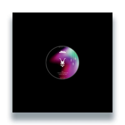 DAVE SEAMAN - Nightfalls