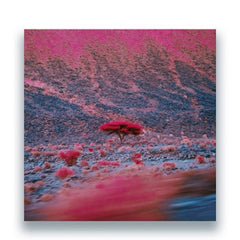O'FLYNN - Kairos