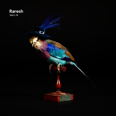 RARESH - Fabric 78