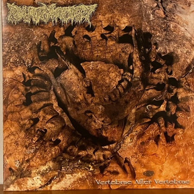 PHARMACIST - Vertebrae After Vertebrae