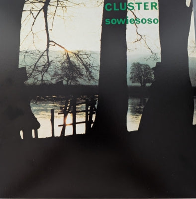 CLUSTER - Sowiesoso