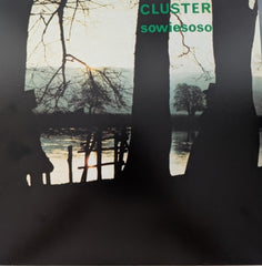 CLUSTER - Sowiesoso