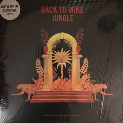 JUNGLE - Back To Mine