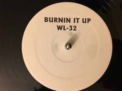VARIOUS ARTISTS - Burnin It Up
