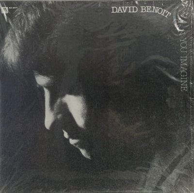 DAVID BENOIT - Can You Imagine