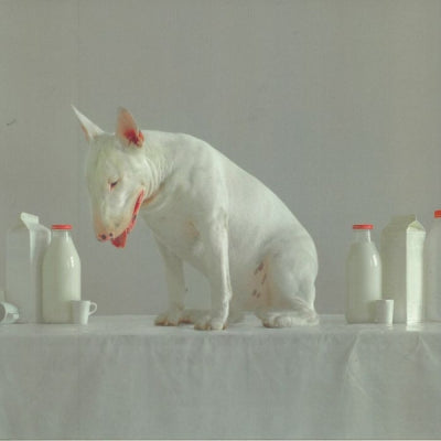 BLUSH RESPONSE / ALEXEY VOLKOV & YEARS OF DENIAL - Albedo Edition