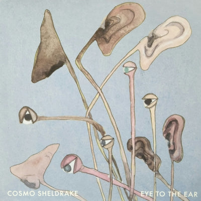 COSMO SHELDRAKE  - Eye To The Ear
