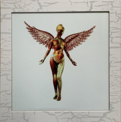 NIRVANA - In Utero