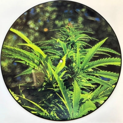 STATE OF FLUX - Grow More Pot