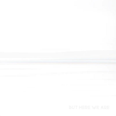 FOO FIGHTERS - But Here We Are