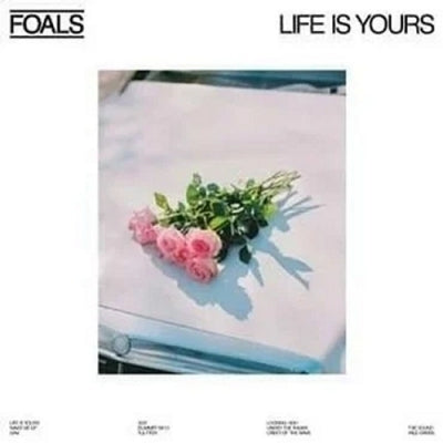 FOALS - Life Is Yours