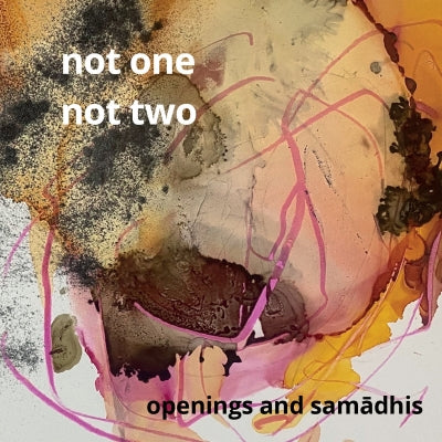 NOT ONE NOT TWO - Openings and Samādhis