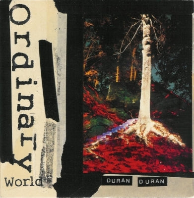 DURAN DURAN - Ordinary World