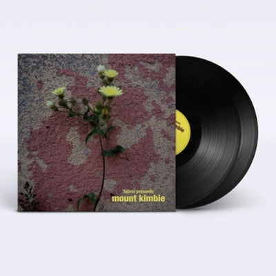 VARIOUS ARTISTS - Fabric Presents Mount Kimbie