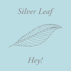 SILVER LEAF - Hey! / Can We Rebuild Our City?