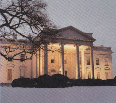 THE DEAD C - The White House